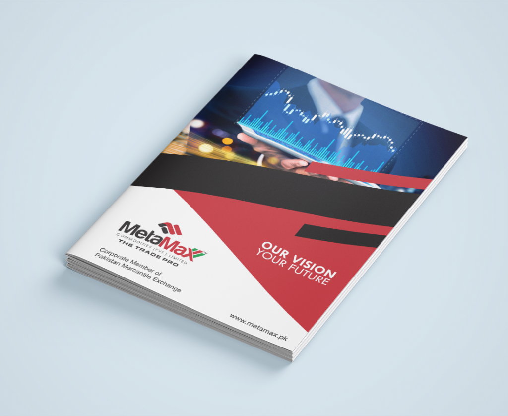 MetaMax Brochure Design