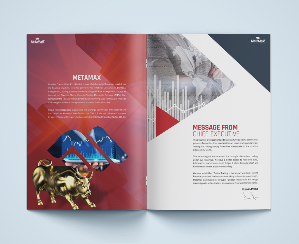 MetaMax Brochure Design