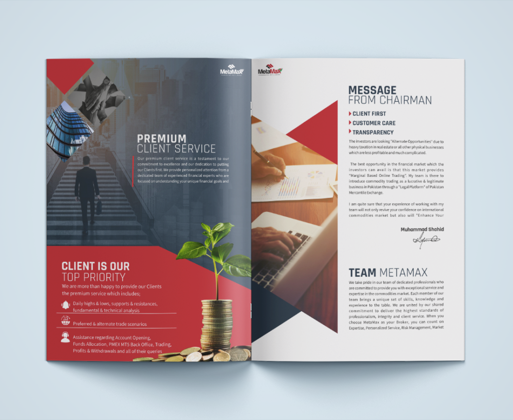 MetaMax Brochure Design