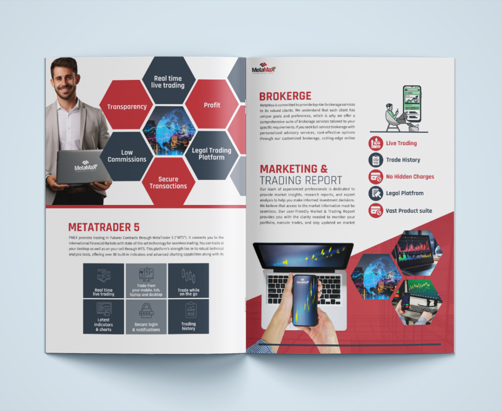 MetaMax Brochure Design