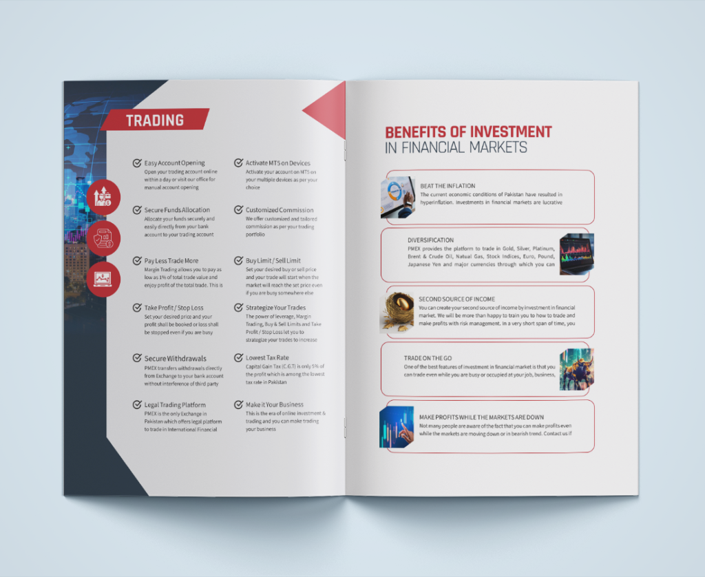 MetaMax Brochure Design