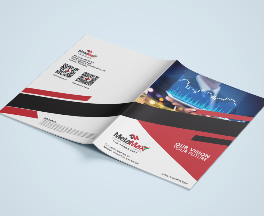 MetaMax Brochure Design